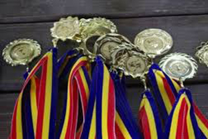 Elevi romni premiai la Olimpiada Internaional de Informatic din Taiwan