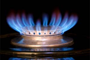 Guvernul a decis anularea creterii preului gazelor naturale