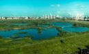 Zona Lacului Văcăreşti din Bucureşti ar putea deveni arie naturală urbană protejată