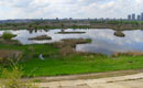 Parcul Natural Văcăreşti - O deltă în mijlocul Bucureştiului