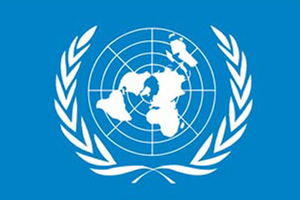 Doi tineri români vor avea posibilitatea să reprezinte România la Adunarea Generală a ONU de la New York