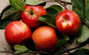 n Ungaria a nceput o campanie de promovare a consumului de mere
