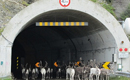Norvegia: Din cauza căldurii, o turmă de reni s-a refugiat într-un tunel de autostradă