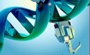 `Nanoroboţi`ai ADN-ului care vânează şi distrug celulele canceroase