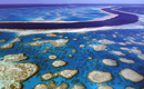 Recifele de corali ar putea dispărea în secolul acesta
