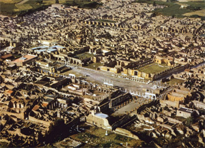 Apeluri pentru salvarea sitului arheologic Pompeii, Italia
