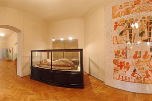 Coleciile Muzeului 'Franz Binder', online