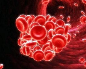 17 aprilie - Ziua Internaţională a Hemofiliei