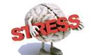 Semnalele date de organism în cazul stresului cronic