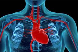 Şeful Clinicii de Cardiologie din Târgu Mureş propune extinderea reţelei de asistare a pacientului cu infarct miocardic