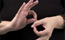 Programele TV ar putea fi interpretate în limbajul mimico-gestual