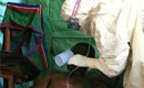 Un nou bilanţ al OMS referitor la virusul febrei hemoragice, Ebola