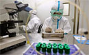 Japonia oferă vaccinul antigripal Avigan pentru tratarea infecţiilor cu Ebola