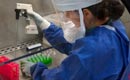 Cercetătorii americani au descoperit un posibil vaccin împotriva virusului Ebola