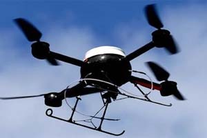  Ministrul pdurilor, Doina Pan, vrea ca pdurile s fie supravegheate cu drone